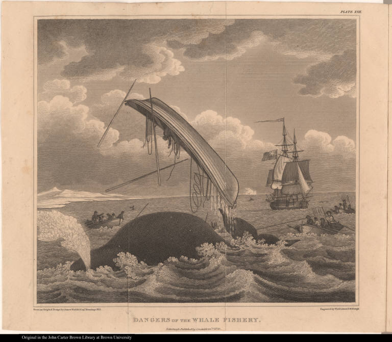 Dangers of the Whale Fishery.