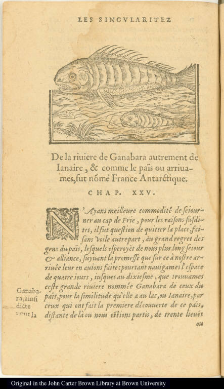 [Fish found in the Ganabara River]